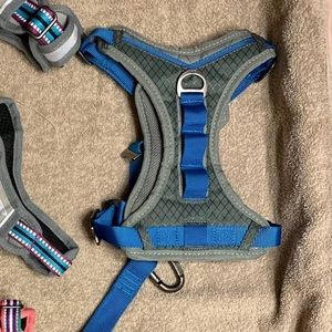 Kurgo grey and blue journey dog harness